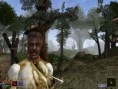 /album/morrowind/mge-screenshot-3-jpg/